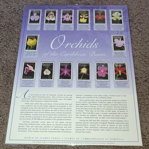 Mint Stamps Orchids Panel Display MNH Collectible Vintage Nature Flowers Art - Picture 1 of 8